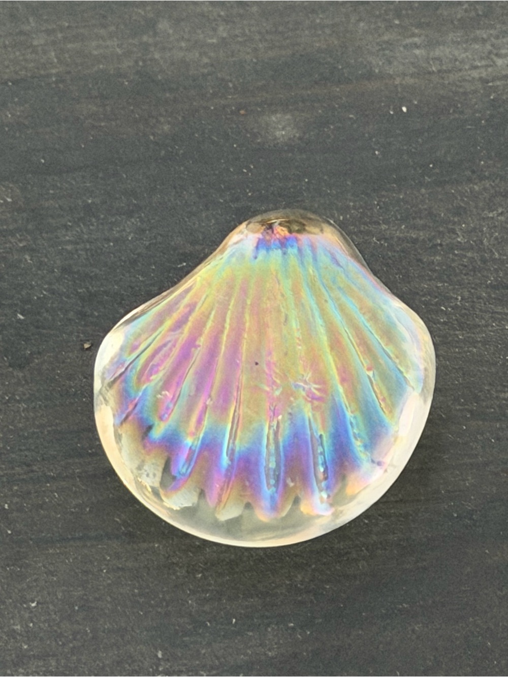 Small Iridescent Glass Shell - Picture 3 of 8